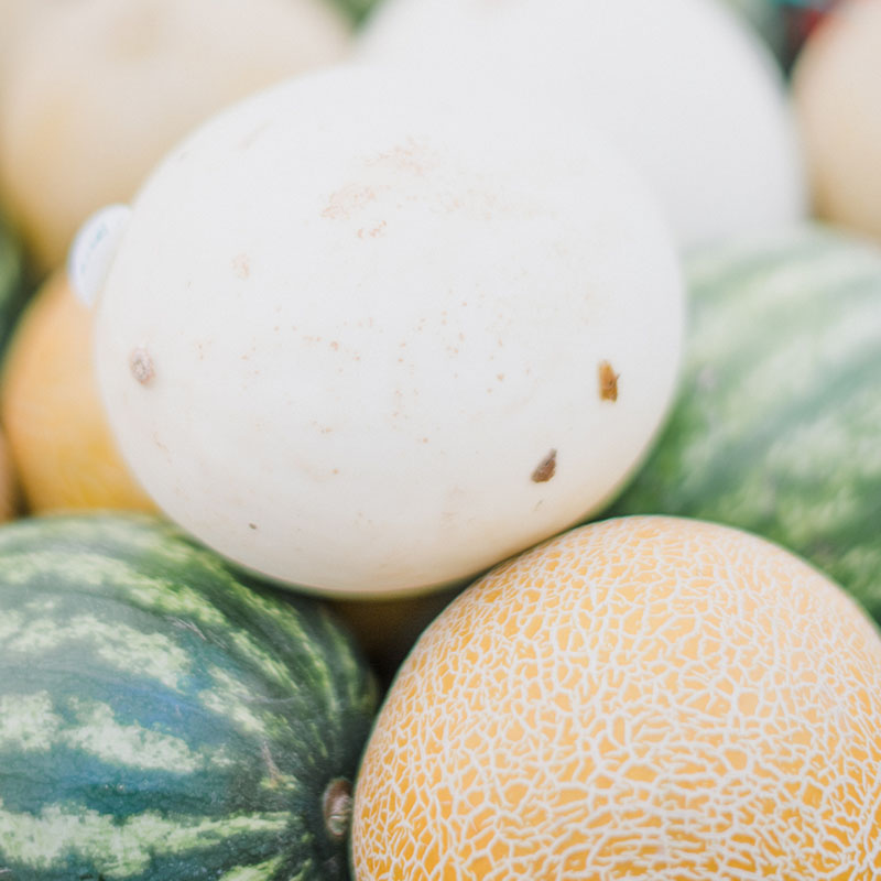 melons, cantaloupe, watermelons