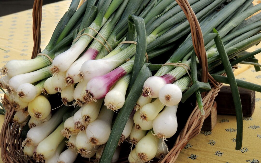 Bunches of Green Onions